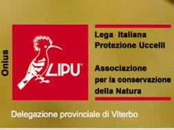 lipu