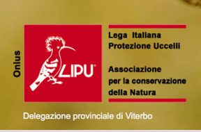 lipu