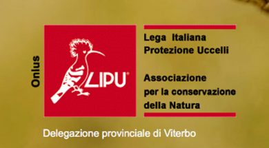 lipu