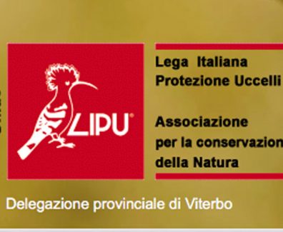 lipu