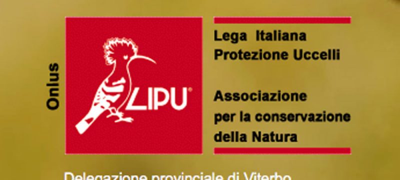 lipu