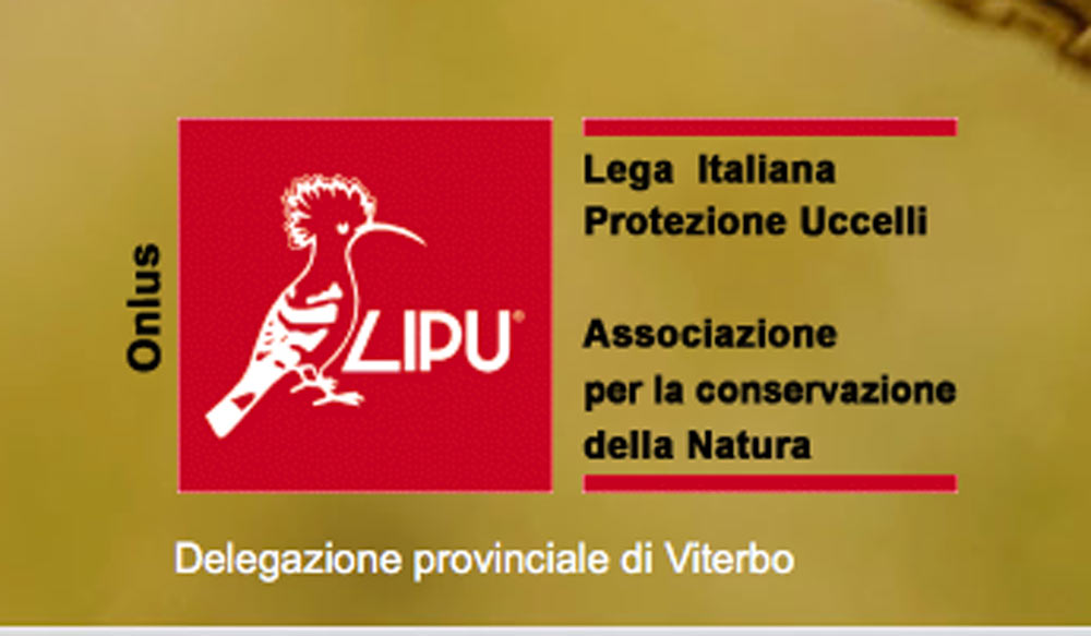 Lipu: un calendario venatorio in spregio alla tutela della fauna