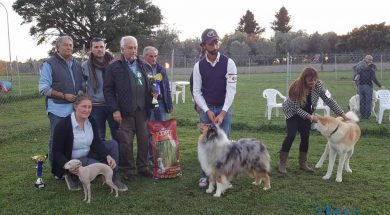 expo-regionale-enci