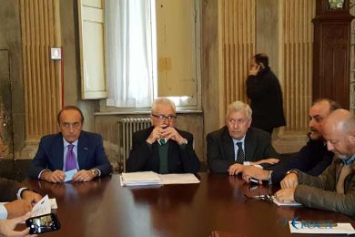 grillo-commissione