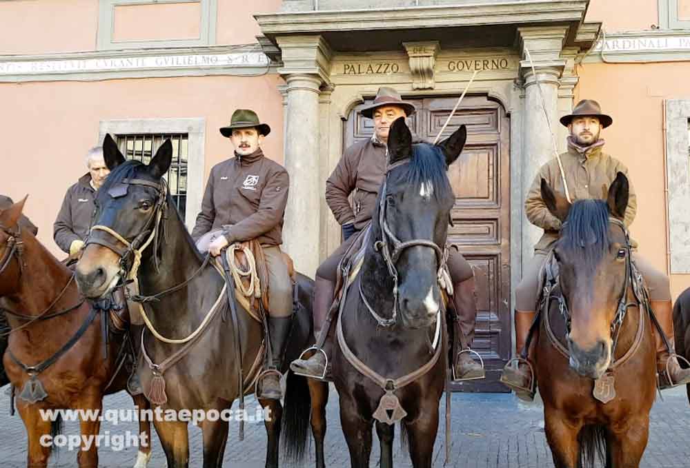 Torna la Benedizione degli animali a piazza del Plebiscito.