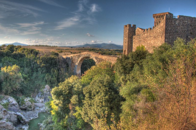 vulci
