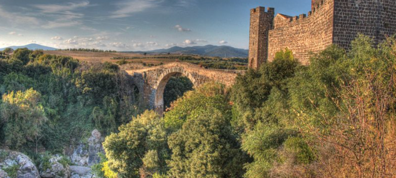 vulci