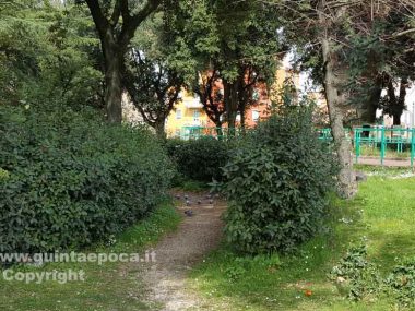 prato-giardino