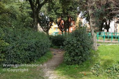 prato-giardino