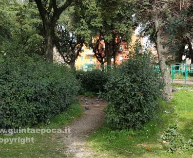 prato-giardino