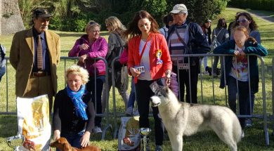 expo-enci-regionale