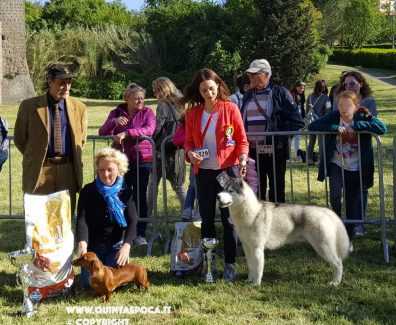 expo-enci-regionale