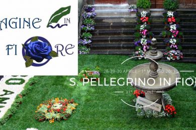pagine-in-fiore