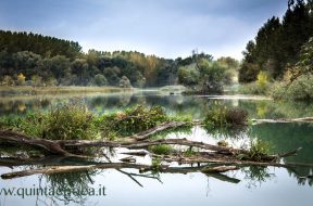 lago