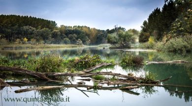 lago