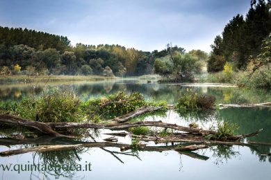 lago