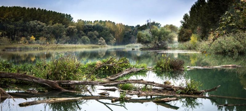 lago