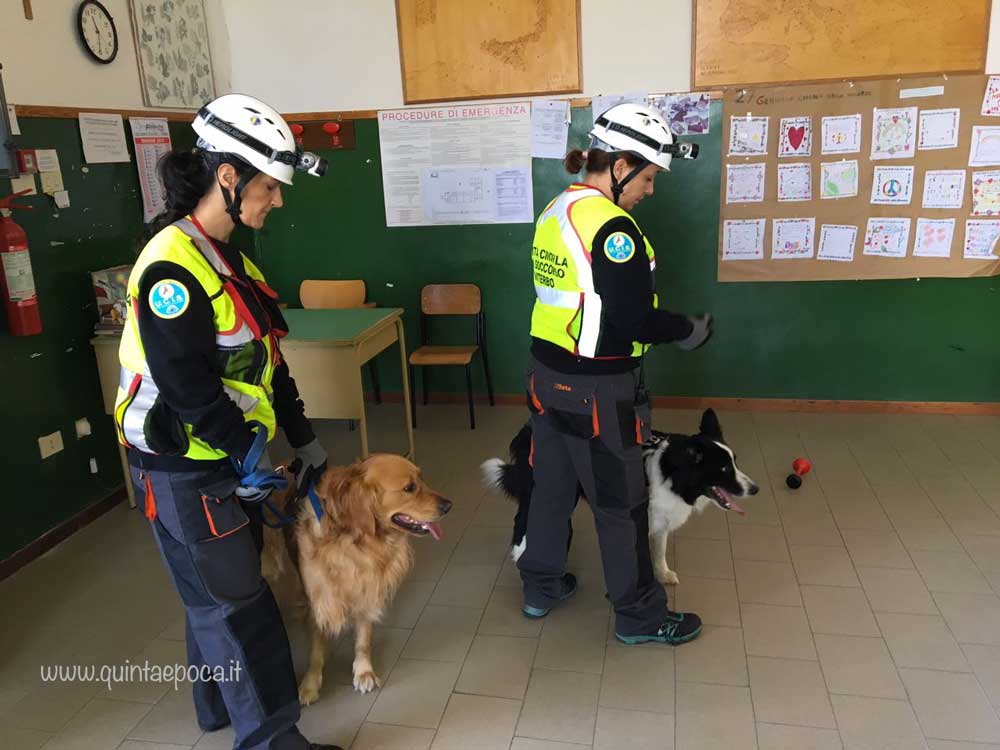 “Alunni a 4 zampe”: a scuola con l’Unità cinofila da soccorso per una simulazione sismica