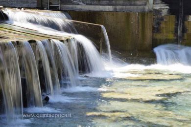 acqua