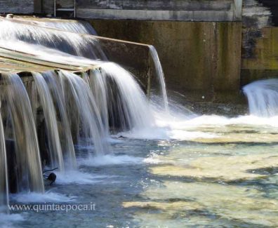 acqua