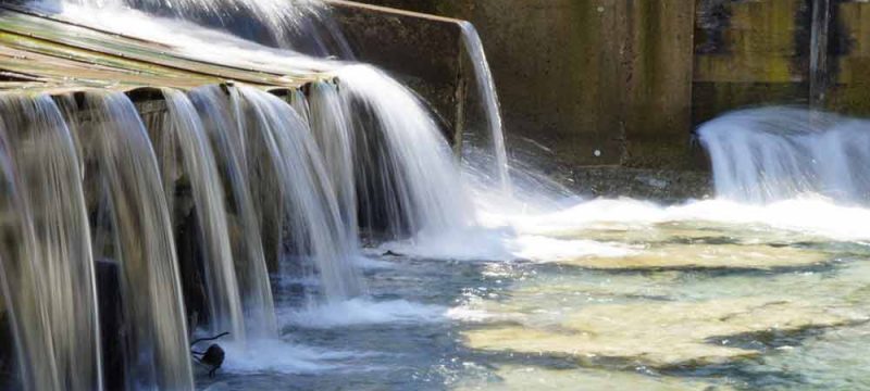acqua