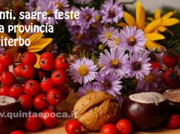 eventi