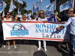 movimento-animalista