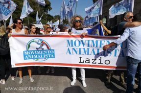 movimento-animalista