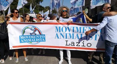 movimento-animalista