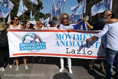 movimento-animalista