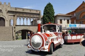 trenino7