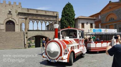 trenino7