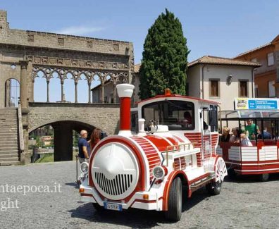 trenino7
