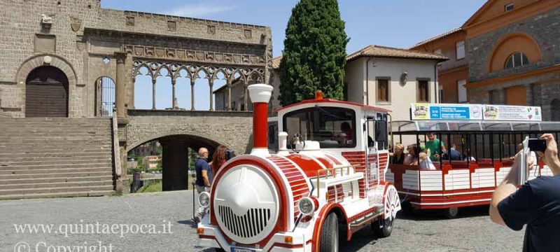 trenino7
