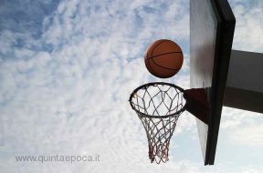 basket