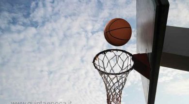 basket