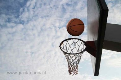 basket