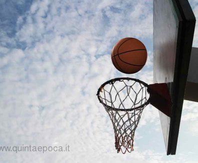 basket