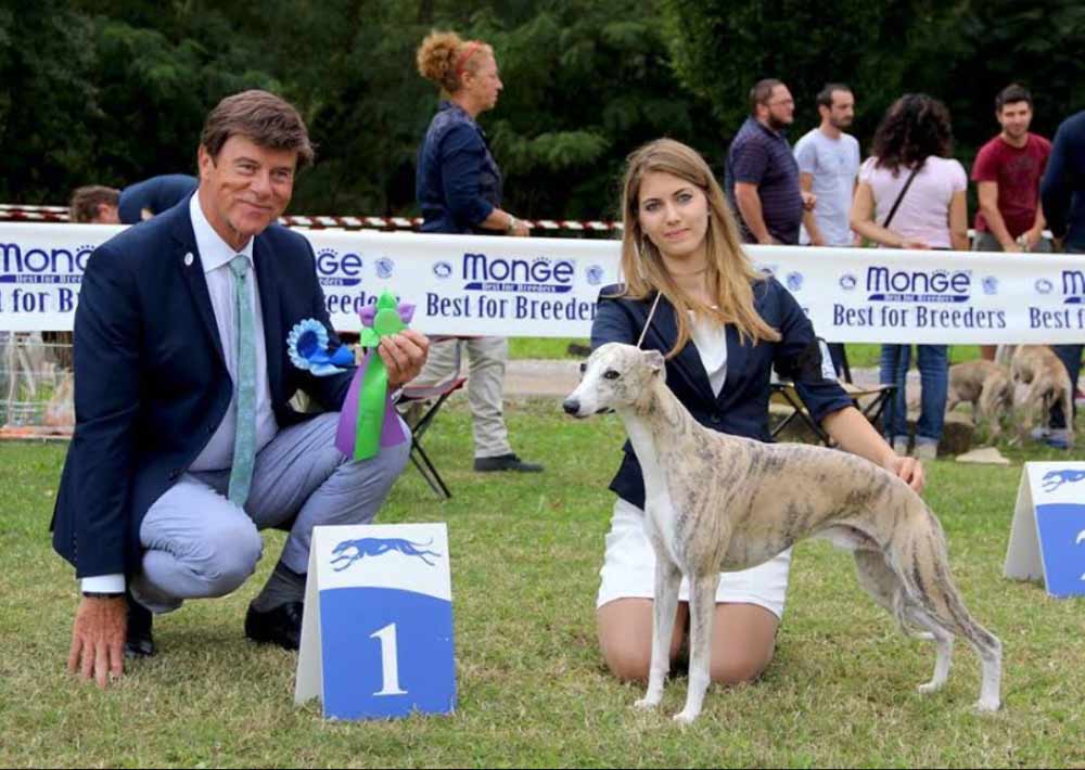 Il Raduno d’Autunno nazionale 2017 dei levrieri sceglie Bagnoregio