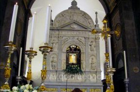 madonna-quercia-1