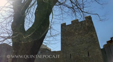 viterbo