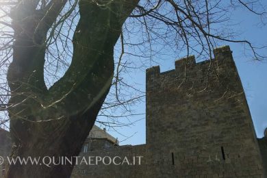 viterbo