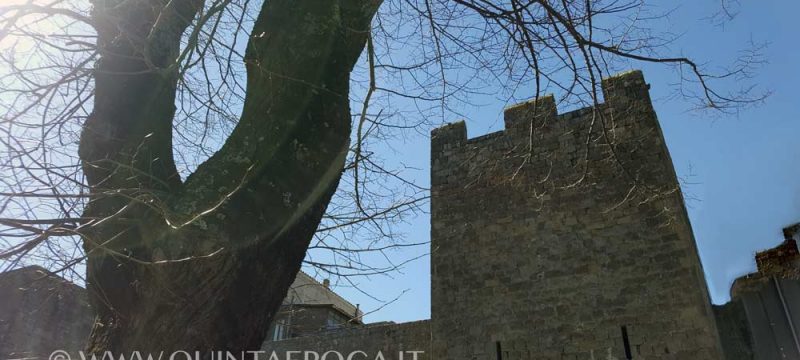 viterbo