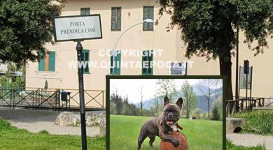 PRATO-GIARDINO