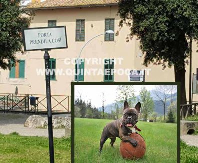 PRATO-GIARDINO