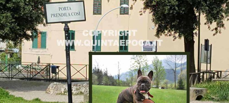 PRATO-GIARDINO