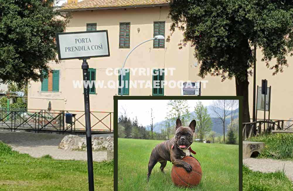 Prato Giardino, Marini: “Il consiglio stanzia 100 mila euro, la giunta non esegue”. Torna l’idea di un’area di sgambatura per cani, bocciata anni fa.