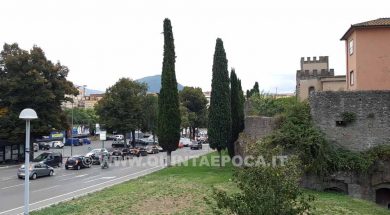 VITERBO