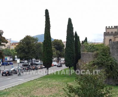 VITERBO