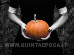 zucca